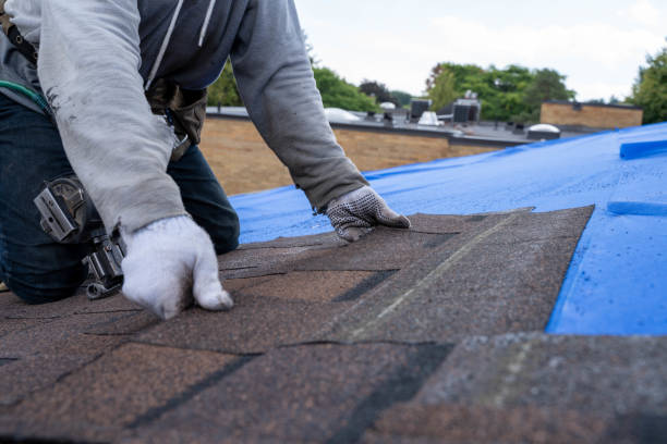 Best Roof Waterproofing  in Deerfield, MI